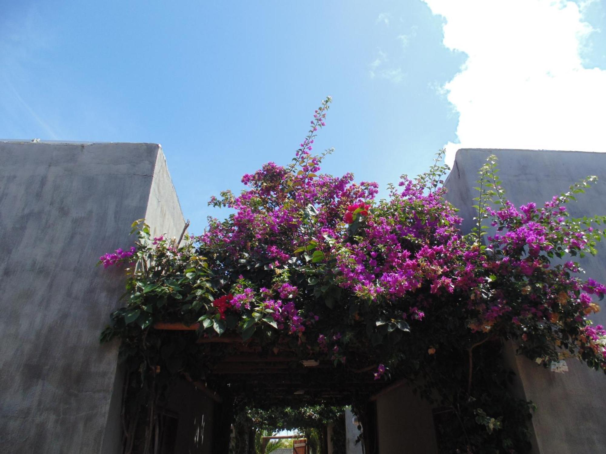 Apartahotel Palhano