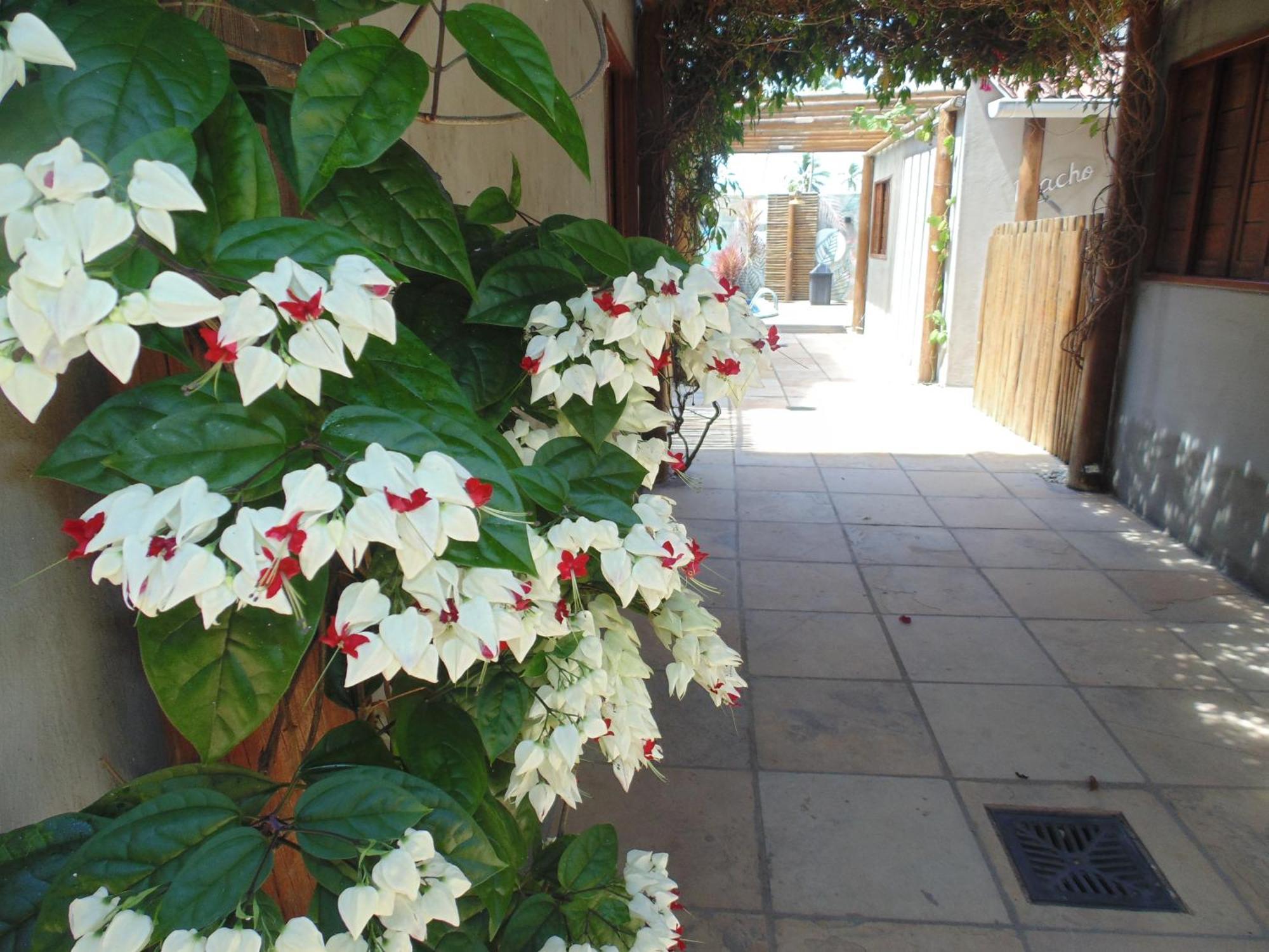 Apartahotel Palhano *